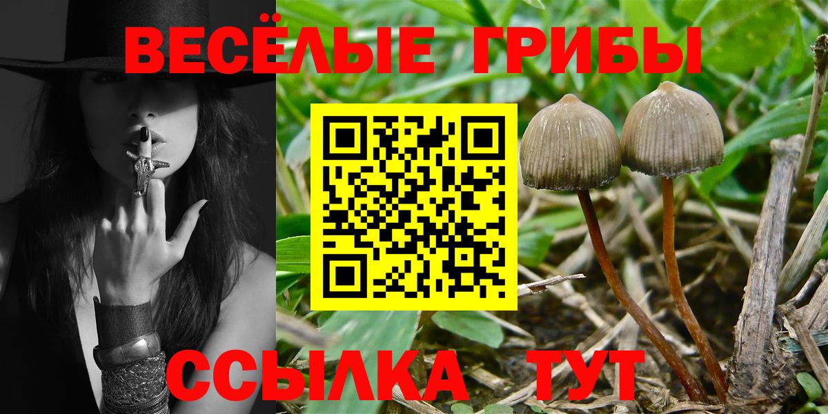 Галлюциногенные грибы MAGIC MUSHROOMS Еманжелинск